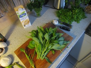 Das am Schneidbrett ist Basilikum. Mengen von Basilikum!