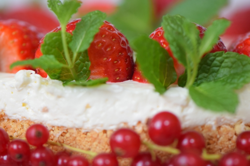 Erdbeer-Käsekuchen mit Ribisel 2