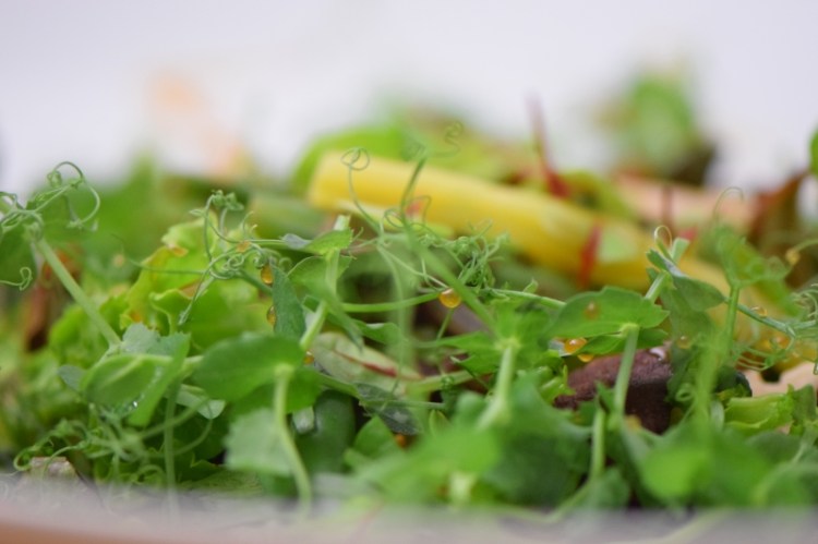 fisolensalat-mit-miso-honig-dressing-5