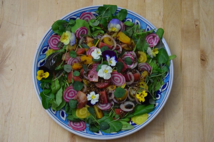 ringelbete-linsen-salat-4