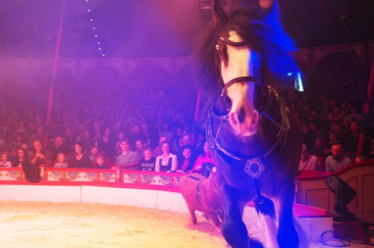 weihnachtszauber-in-innsbruck-3