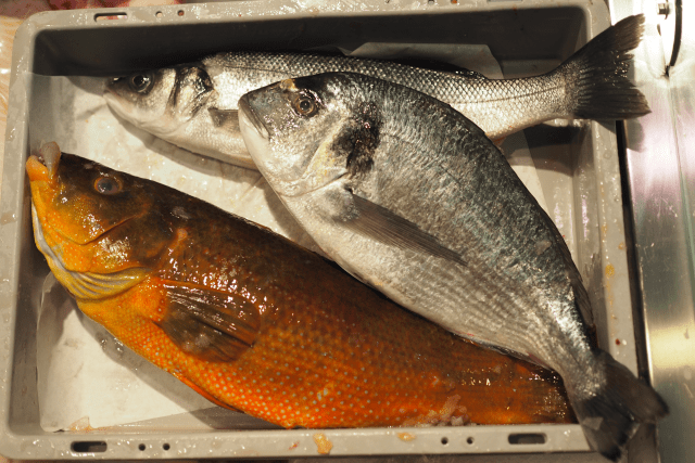 bestes-fischfachgeschaft-2017-eishken-estate-1