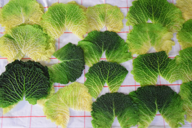 Bretonische Krautrouladen (5)