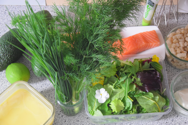 Salat mit Avocadocreme und Lachs (1)