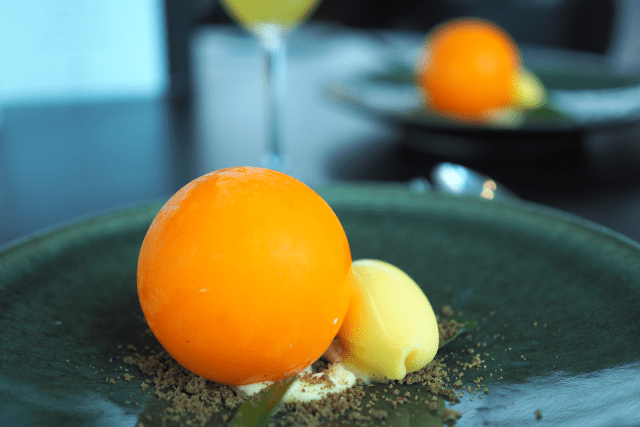 Menü José Avillez (8)