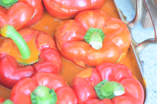 Holländische Paprika (10)