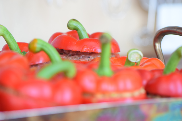 Holländische Paprika (11)