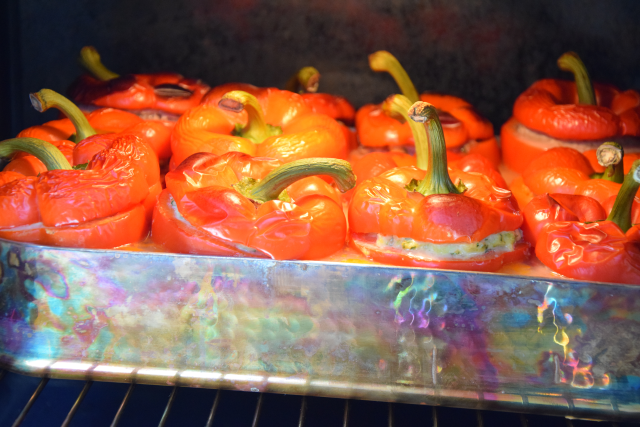 Holländische Paprika (12)