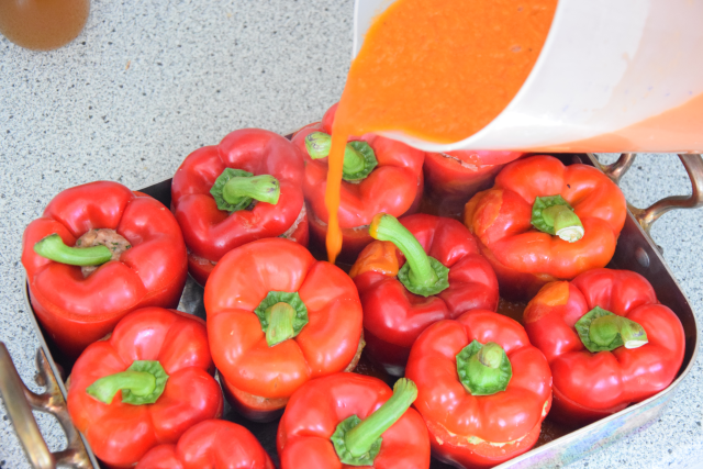 Holländische Paprika (9)