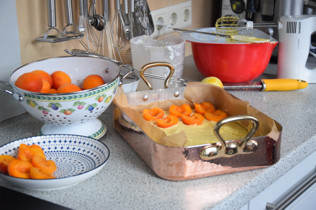 Zuckerfreier Marillen-Sandkuchen (1)