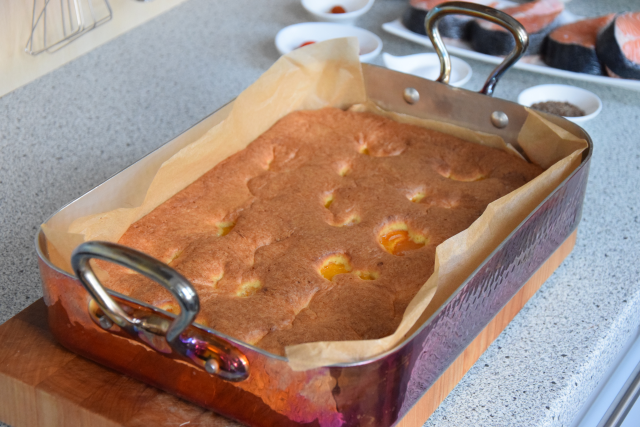 Zuckerfreier Marillen-Sandkuchen (4)