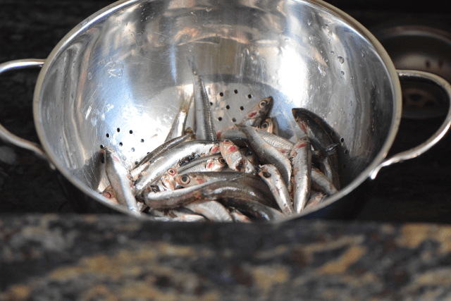 Frittierte Sardinen (1)