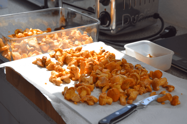 T-Bone-Steak mit Goaßkäs-Tomaten (3).png