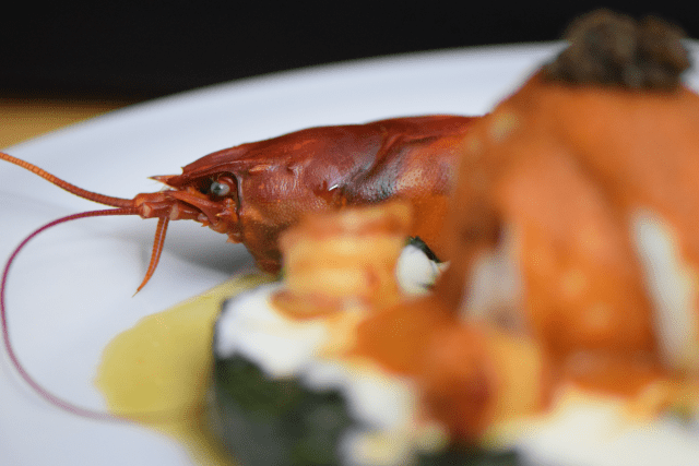 Seezunge mit Flusskrebsen und Sauce Nantua (18)