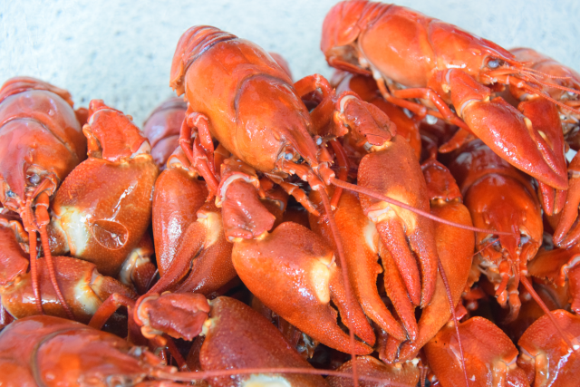 Seezunge mit Flusskrebsen und Sauce Nantua (4).png