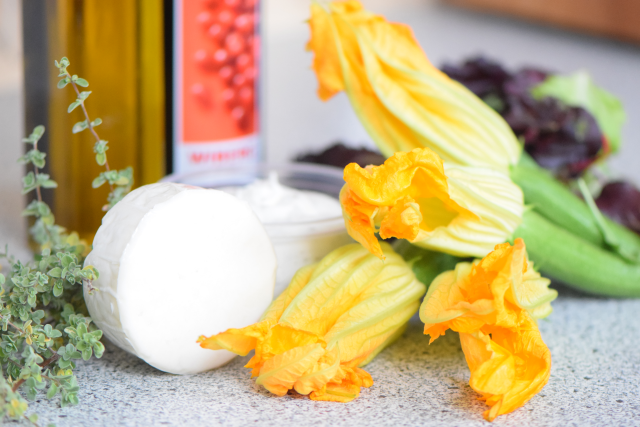 Ziegen-Zucchiniblüten (1)