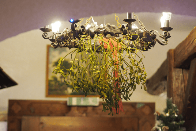 La Pergola Osteria Friulana (3)