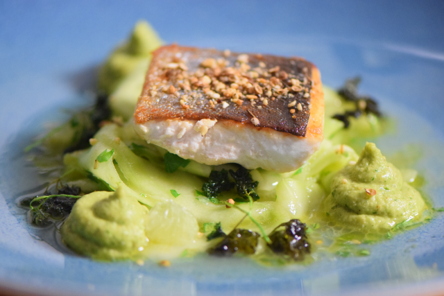 Bachsaibling mit Korianderducca und Limettengurken (10)