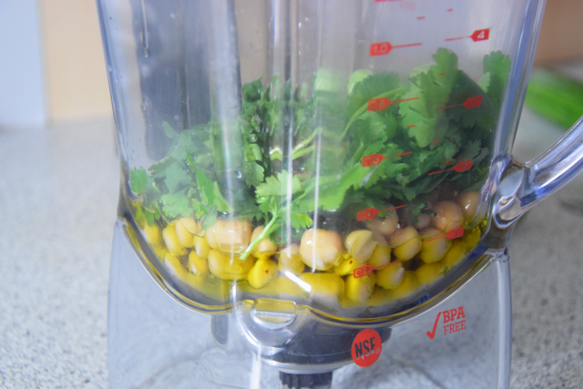 Bachsaibling mit Korianderducca und Limettengurken (3)