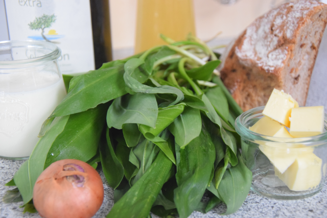 Bärlauchsüppchen (1)