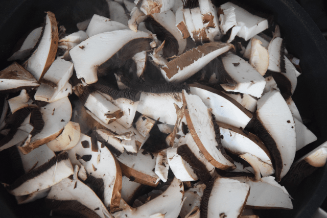 Römische Nudelspeise Villa Adriana (2)