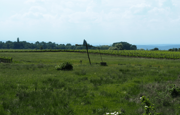 Pannonisches Picknick (1)