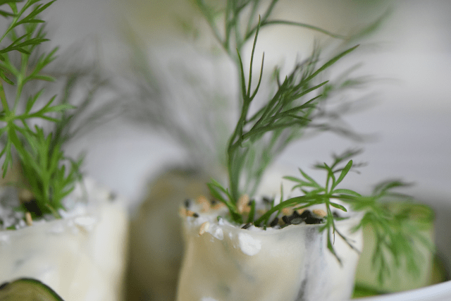 Reispapierrollen mit Minze und Ricotta (6)