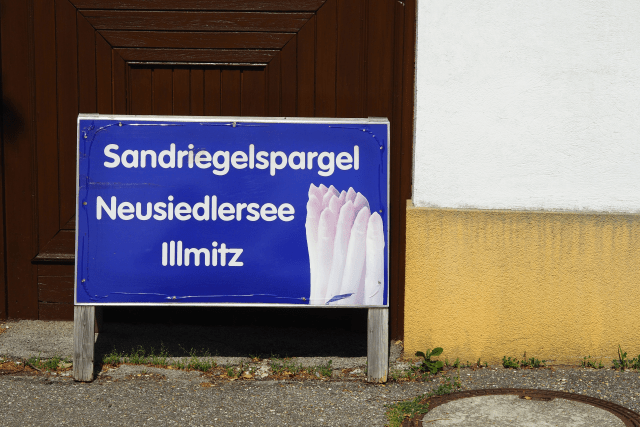 Spargel mit Bastardsauce (5)