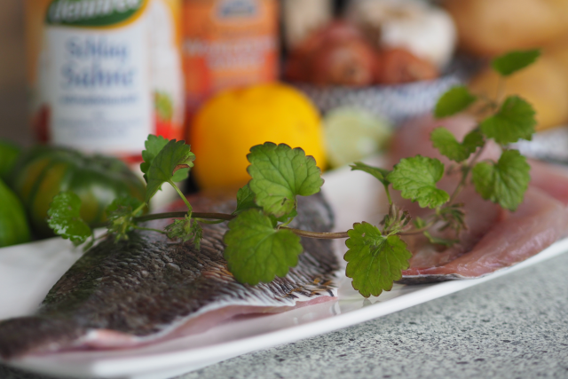 Gebratene Dorade mit Charlottenbutter (1)