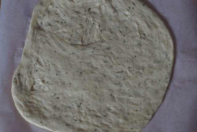 Gundelrebenpizza (2)