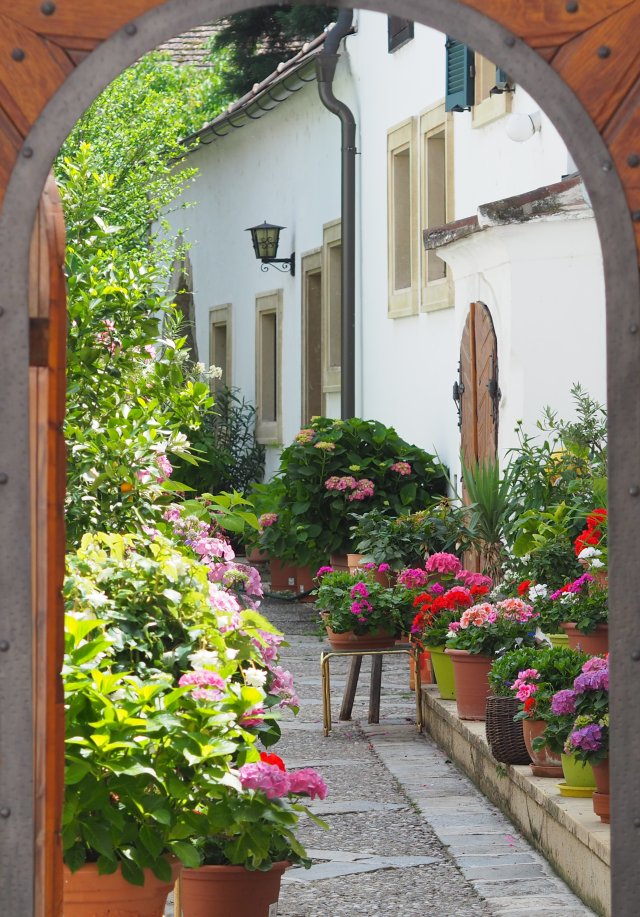 Featured Image -- 44023