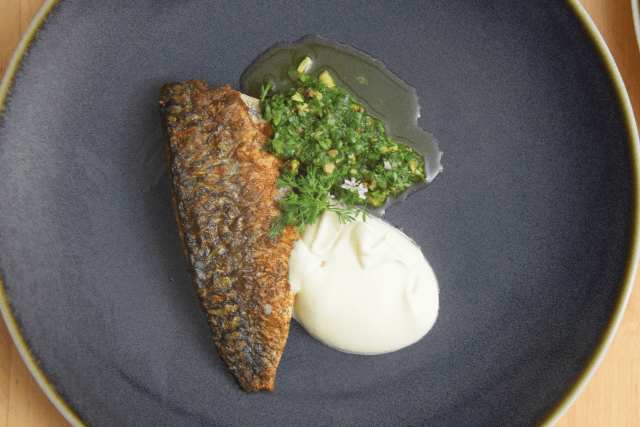 Makrele mit Ingwercreme und Pistazien-Kardamomsalsa (6)