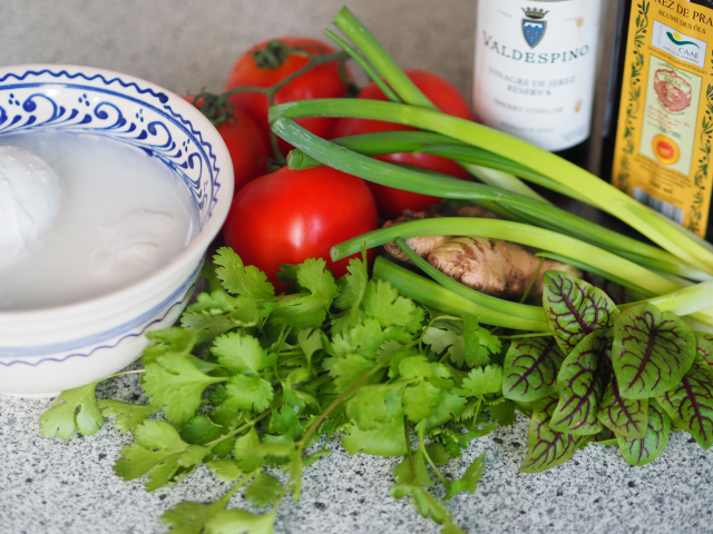 Tomaten, Frühlingszwiebel, Ingwer (1).png