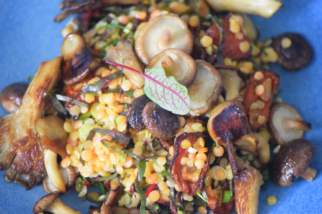 Linsensalat mit Shiitake und Mangold (5)