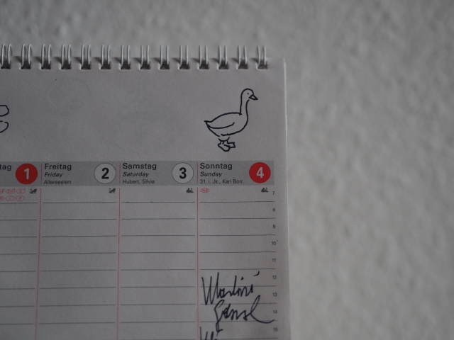 Martinigansl mit Kraut und Knödl (10)