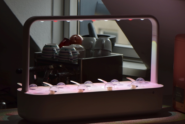 Sunshine Award von CoffeesNewsTom (2)