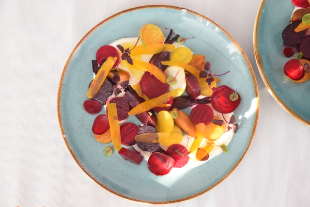 Eine kleine Rübenei (8)