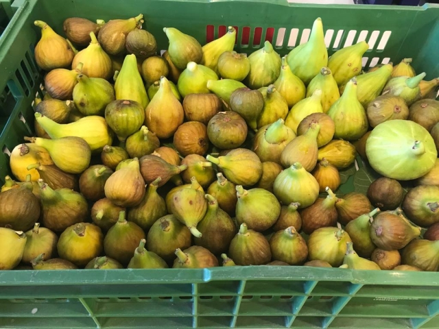 Himmlischer Feigen-Ziegenkäse-Speck-Kuchen (6)