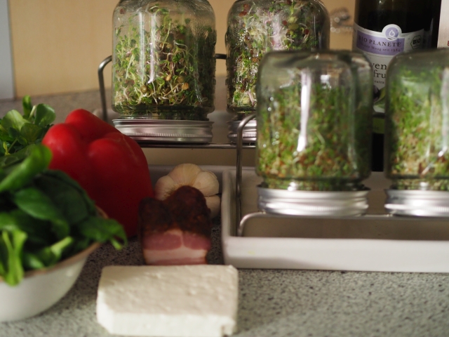 Frischer Sprossen-Schafkäsesalat mit gesäuertem Roggenbrot (1).jpg