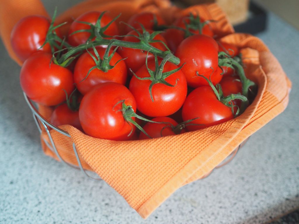 Tomaten an der Rispe aus dem Glashaus in einem Korb
