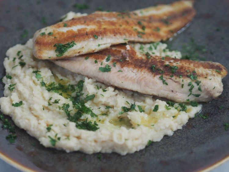 Welsfilet auf Karfiol-Bohnen-Püree