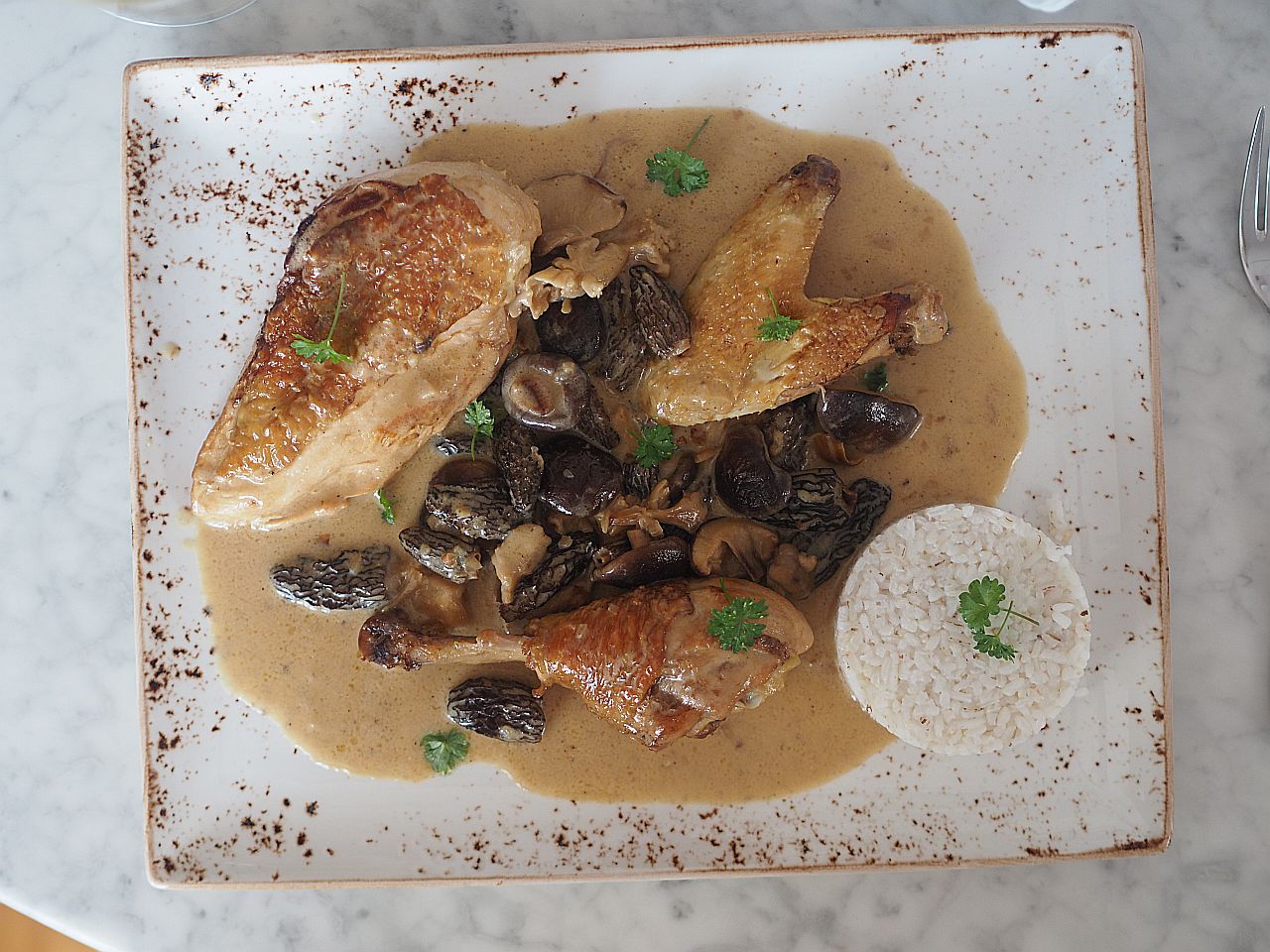 Waldviertler Hühnerfrikassee mit Morcheln