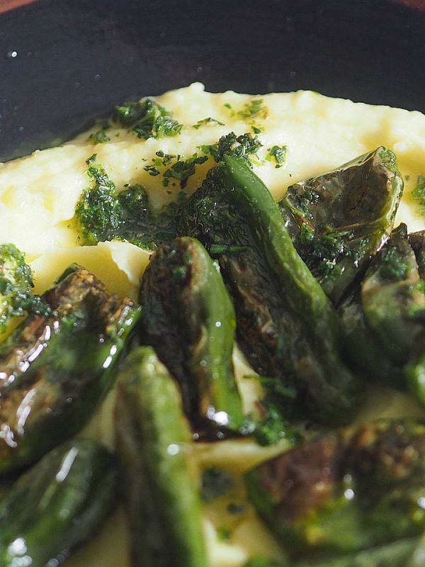 Was macht man mit Pimientos de&nbsp;Padrón?