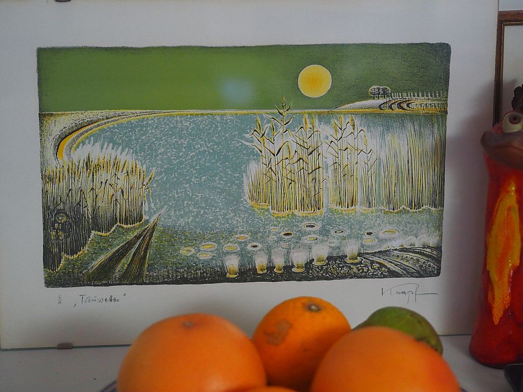 Ein abstraktes Kunstwerk, das eine Ansicht eines Gewässers mit Sonnenuntergang, Gräsern und Bäumen darstellt. Im Vordergrund sind einige Früchte, darunter Orangen und eine Limette.